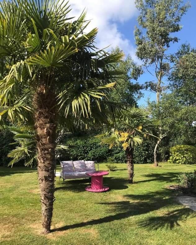 Chambre Chez L Habitant Malguenac Kültér fotó